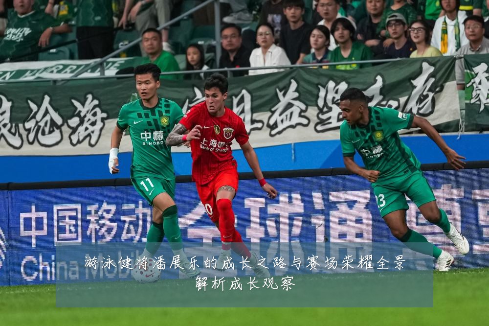 游泳健将潘展乐的成长之路与赛场荣耀全景解析成长观察